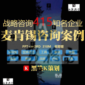 麦肯锡咨询报告案例415套500强品牌名企战略规划方案营销策划新品