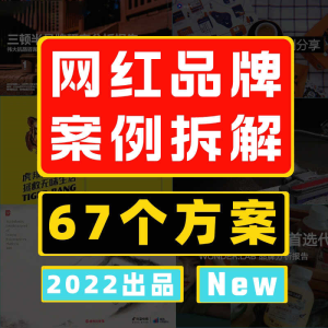 2022网红新消费品牌拆解运营复盘分析方案报告研究私域增长PPT